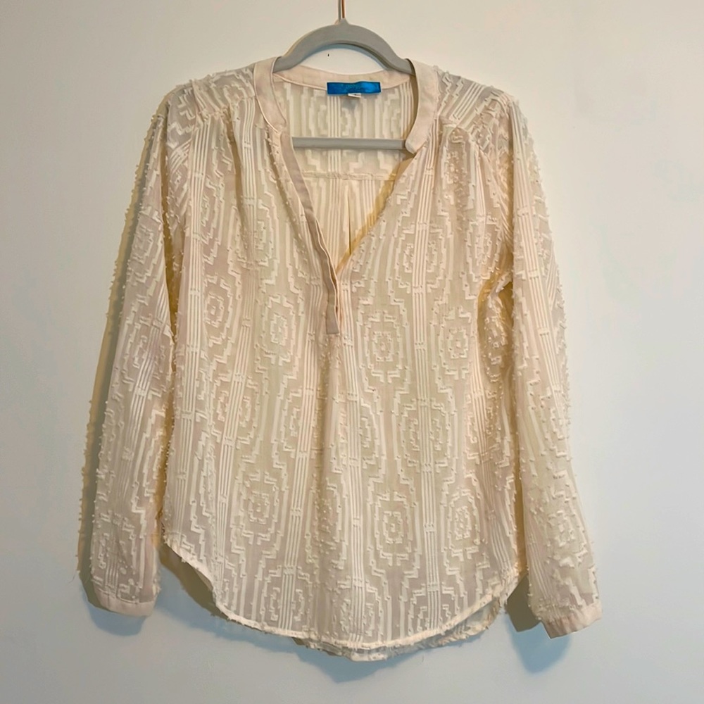 Francesca’s Sheer Long Sleeve Top